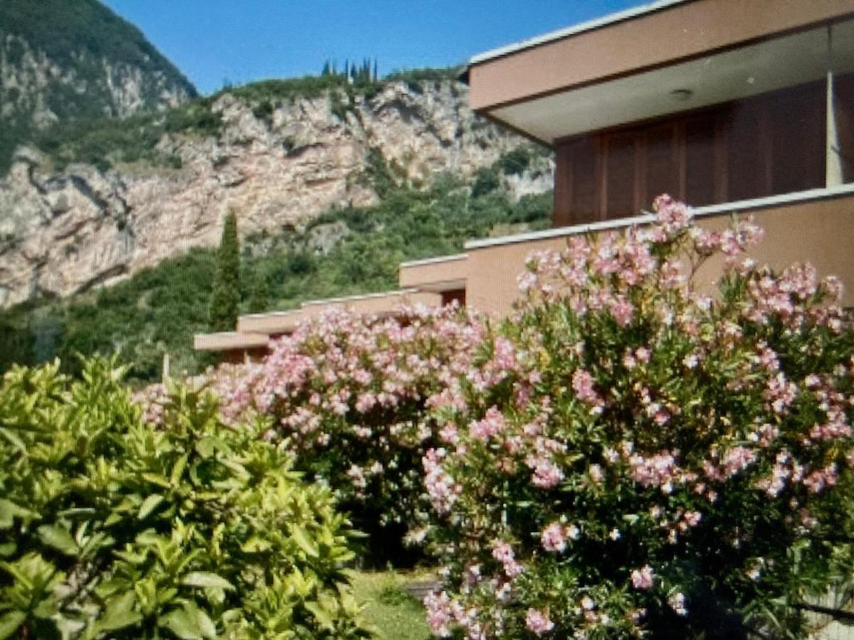 Appartamento Peppino Mit Seeblick Und Pool Riva del Garda Eksteriør billede